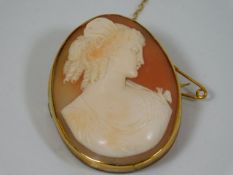 An antique gold mounted cameo
