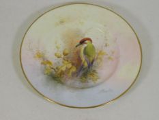 A Royal Worcester signed plate depicting a woodpec