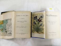 Flowering Plants of Wilts 1888 twinned with Flora