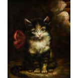 Oil on metal panel - Study of a kitten, unsigned, framed Condition: