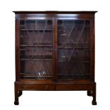 Early 20th Century mahogany bookcase fitted six adjustable shelves enclosed by a pair of astragal