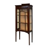 Early 20th Century mahogany display cabinet fitted one glazed door having applied painted string