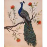 Pair of late 19th/early 20th Century bird pictures formed from bird feathers depicting a peacock and