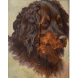 E.A. Holmes - Oil on board - Study of a dog, signed, framed and glazed Condition: