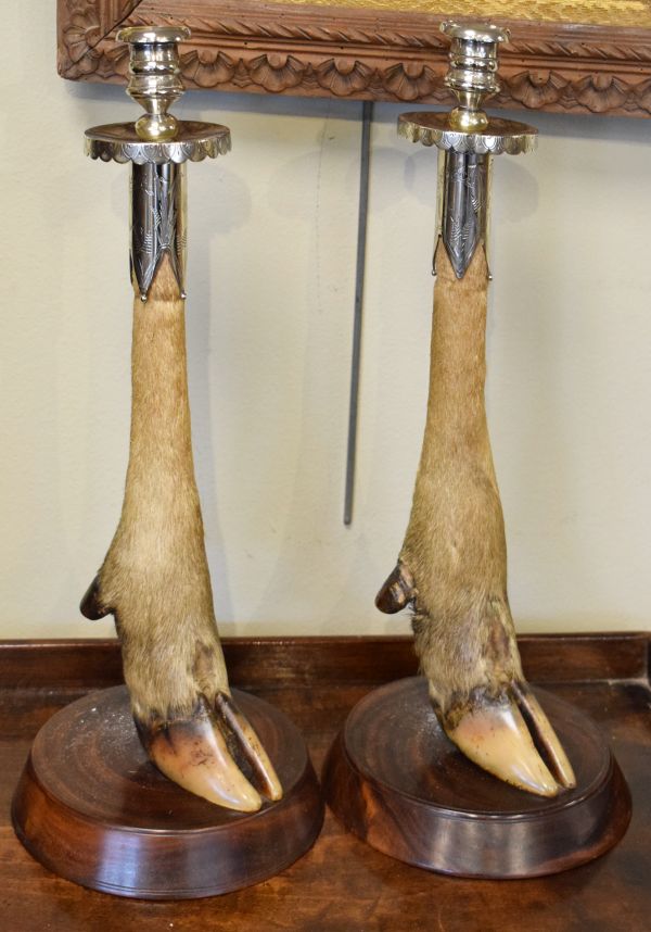 Taxidermy - Pair of Victorian deer's foot candlesticks, the silver plated tops with engraved