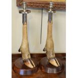 Taxidermy - Pair of Victorian deer's foot candlesticks, the silver plated tops with engraved
