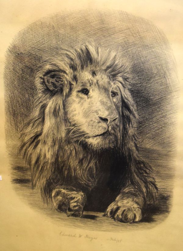 Edward W. Hayes - Late 19th Century charcoal sketch of a recumbent lion, signed and dated 10th