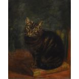 Early 20th Century English School - Oil on canvas - Study of a cat seated on a book, unsigned,