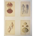 Collection of six various framed prints Condition: