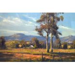 C. Laurel - Oil on paper - Australian landscape, signed, framed and glazed Condition: