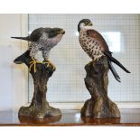 Two 'Arden Sculptures' - Birds of prey numbered 97 and 304 Condition: