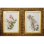 Pair of painted opaque white glass panels - Botanic studies, within gilt frames Condition: