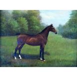 H. Crowther (early 20th Century) - Oil on canvas - Study of a pony 'Federation', signed and dated