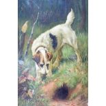 Attributed to Arthur Wardle (1864-1949) - Oil on canvas - Terrier At A Rabbit Hole, bears signature,