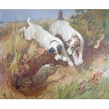 Attributed to Arthur Wardle (1864-1949) - Oil on canvas - Two Terriers Chasing A Rabbit, bears
