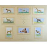 Cigarette Cards - Eight pieces of original artwork for Player's 'Famous Irish Greyhounds', issued in