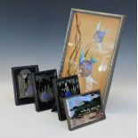 Five various pictures made from butterfly wings, framed Condition: