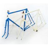 Vintage racing cycle frames comprising: Sun frame in blue, with white head tube and gold decals,