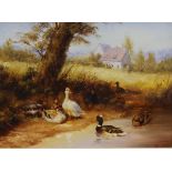 Bojtor - Pair of oils on board - Chickens in a farmyard and ducks around a pond, signed, framed,