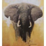 Three David Shepherd African wildlife prints together with a signed copy of An Artist In