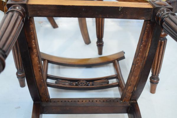 Set of eight William IV rosewood and simulated rosewood yoke back dining chairs, each having a - Image 8 of 8