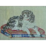 Victorian needlepoint picture - A study of Queen Victoria's King Charles Spaniel 'Dash', 24.5cm x