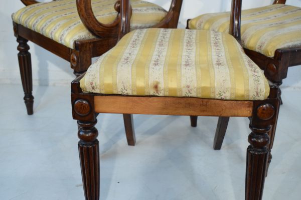 Set of eight William IV rosewood and simulated rosewood yoke back dining chairs, each having a - Image 6 of 8