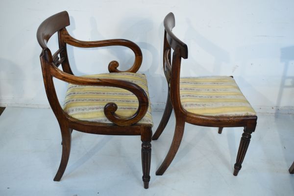 Set of eight William IV rosewood and simulated rosewood yoke back dining chairs, each having a - Image 3 of 8