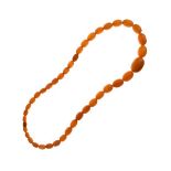 Graduated row of oval amber beads, the forty-one beads 66cm in total length, 67.9g gross