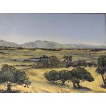 Vera Baker - Oil on board - An African landscape, signed, framed Condition: