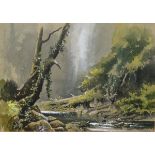 David Bellamy - Watercolour - A Wooded Riverside Landscape On The River Avon, signed, framed and