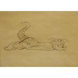 Chuck Jones - Pencil sketch - Tom Dazed, framed and glazed Condition: