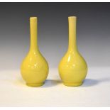 Pair of Chinese yellow glazed baluster shaped specimen vases Condition: