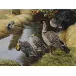 Tom Purvis - Watercolour - Geese At A Stream, signed, framed and glazed Condition: