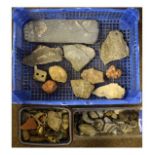 Various geological specimens and metal detector finds Condition:
