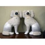 Pair of 19th Century Staffordshire pottery figures of seated poodles, each having grog decoration