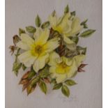 Pamela Taylor - Watercolour - A botanic study and P.Tidmarch - Watercolour - Clematis, each framed