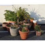 Quantity of terracotta garden planters etc Condition: