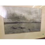 An important set of 3 large black and white prints by Douglas Adams, dated 1894, depicting Hare