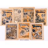 Triumph comics (1924-25) 1-4, 6-16, 19-26, 28, 30-33, 35-39, 51, 480, 801 (1940) including Ripping