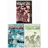 Teenage Mutant Ninja Turtles 2 counterfeit copy, with Kevin Eastman cover signature, sketch and '