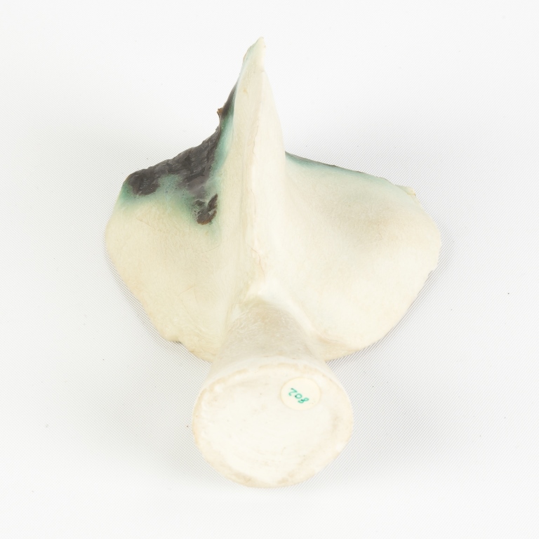 Ruth Duckworth (British, 1919-2009) Organic Porcelain Shape with White Glaze.c. 1965.No repairs or - Image 3 of 3