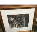 Signed limited edition print of a snow leopard in contemporary frame.