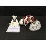 Royal Crown Derby paperweights: Old Pig, Old Rabbit and Welsh Teddy with certificate.
