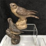 A Poole Pottery Song Thrush and a Merlin by Barbara Linley Adams.