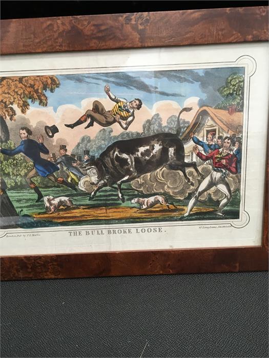 Six pictures including a hand coloured etching "The Bull Broke Loose". A folio of mixed pictures and