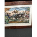 Six pictures including a hand coloured etching "The Bull Broke Loose". A folio of mixed pictures and