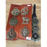 9 Horse Brasses, three attached to original leather strap six mounted on wooden plaques.