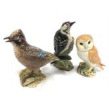 Three Beswick birds: 2417 Jay; 2420 Lesser Spotted Woodpecker; Owl.