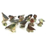 Twelve Beswick birds, includes Stonechat, Chaffinch and Bullfinch.